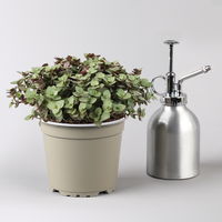 Grünpflanzenkreation 'Tierfreund', Topf-Ø 12 cm, 6 Pflanzen