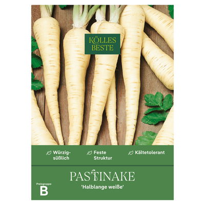 Kölles Beste Gemüsesamen Pastinaken Halblange weiß