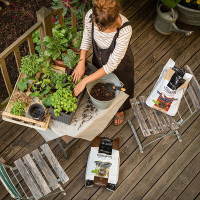 Lechuza Terrapon Pflanzsubstrat, 12 Liter Lechuza Terrapon Pflanzsubstrat, 12 Liter