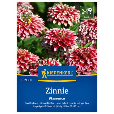 Blumensamen, Zinnie 'Red White Bicolor Flamenco', rot & weiß Blumensamen, Zinnie 'Red White Bicolor Flamenco', rot & weiß
