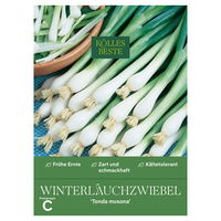 Kölles Beste Gemüsesamen Winterlauch-Zwiebel 