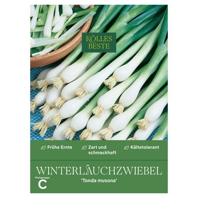 Kölles Beste Gemüsesamen Winterlauch-Zwiebel 