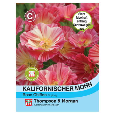 Kalifornischer Mohn (Eschscholzia californica) 'Rose Chiffon' Kalifornischer Mohn (Eschscholzia californica) 'Rose Chiffon'