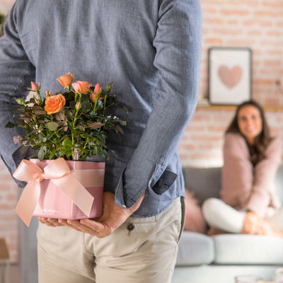 Lechuza 'Cube Glossy Kiss 14', Cashmere Cream Highgloss Glitter Lechuza 'Cube Glossy Kiss 14', Cashmere Cream Highgloss Glitter