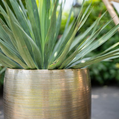 Kölle Pflanzgefäß 'Rowen', gold, ca. Ø 42 x H 41 cm Kölle Pflanzgefäß 'Rowen', gold, ca. Ø 42 x H 41 cm