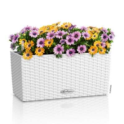 Lechuza 'Balconera Cottage 40', weiß, ca. 40 x 19 x H 19 cm