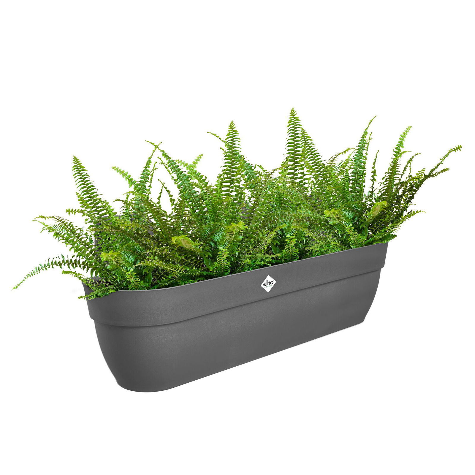 Elho Pflanzgefäß 'Vibia Campana Easy Hanger XXL', anthrazit Elho Pflanzgefäß 'Vibia Campana Easy Hanger XXL', anthrazit