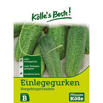 Kölles Beste Gemüsesamen Gurken  Kölles Beste Gemüsesamen Gurken
