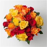 Blumenbund mit gemischten Rosen, rot/gelb, 25er-Bund, inkl. gratis Grußkarte