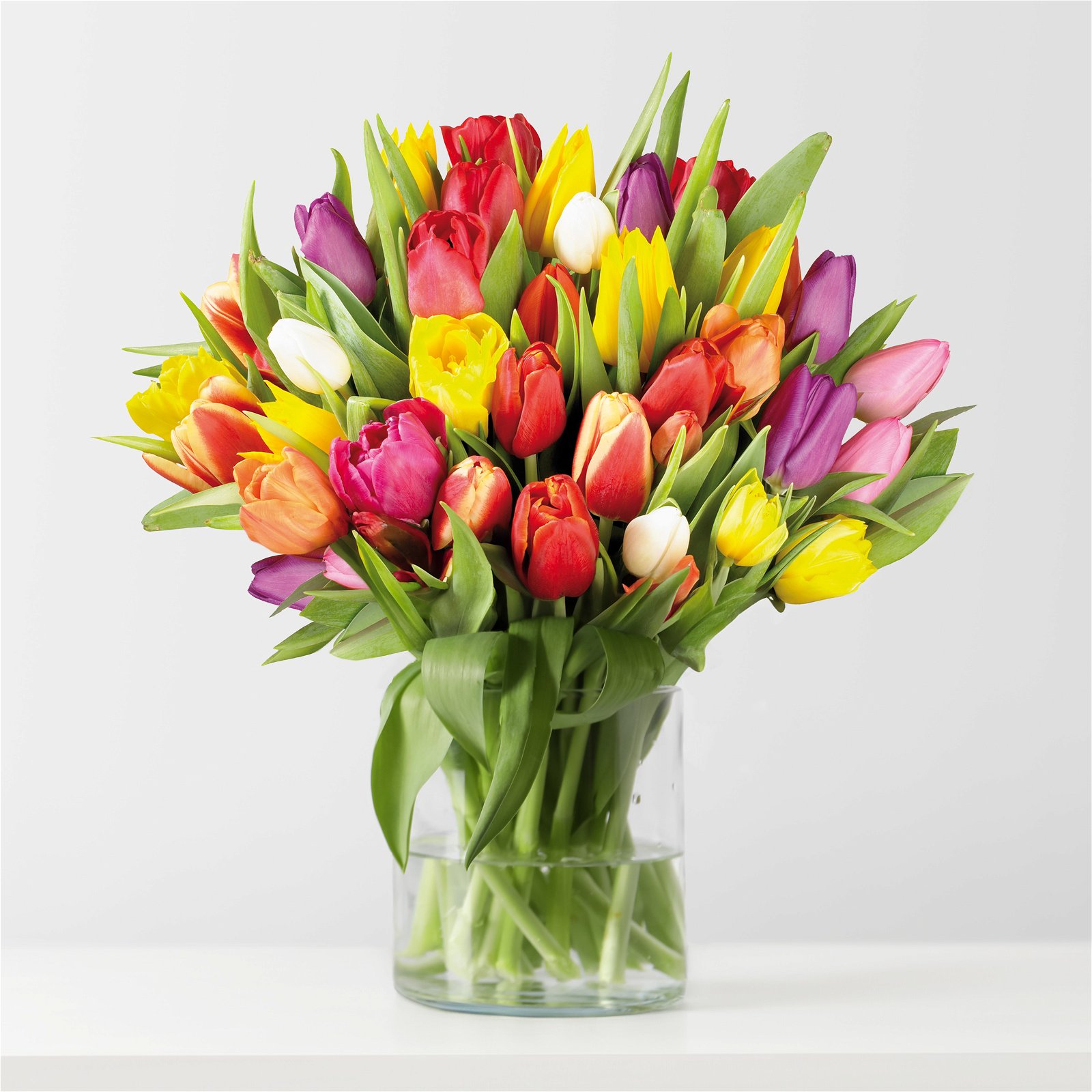 Blumenbund mit Tulpen, 50er-Bund, bunt, einfachblühend, inkl. gratis Grußkarte