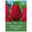 Triumph Tulpen 'Red Rover', rot, 7 Blumenzwiebeln Triumph Tulpen 'Red Rover', rot, 7 Blumenzwiebeln