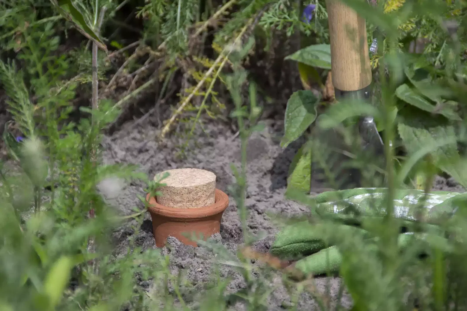 olla-bewaesserungshilfe-im-garten-eigegraben