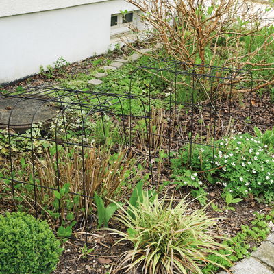 Bellissa Hortensienstütze 'ANNABELLE', 2er-Set, grün, H80 x L75 x L72 cm Bellissa Hortensienstütze 'ANNABELLE', 2er-Set, grün, H80 x L75 x L72 cm