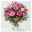 Blumenstrauß 'Alles Liebe' inkl. gratis Grußkarte