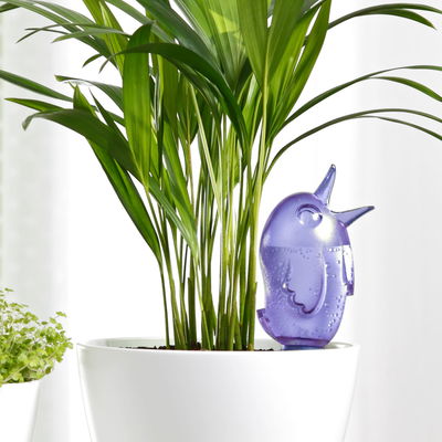 Scheurich Wasserspeicher 'Bördy', blau, 220 ml Scheurich Wasserspeicher 'Bördy', blau, 220 ml