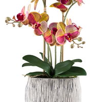 Kunstpflanze Phalaenopsis, gelb/pink/grau, Höhe ca. 56 cm