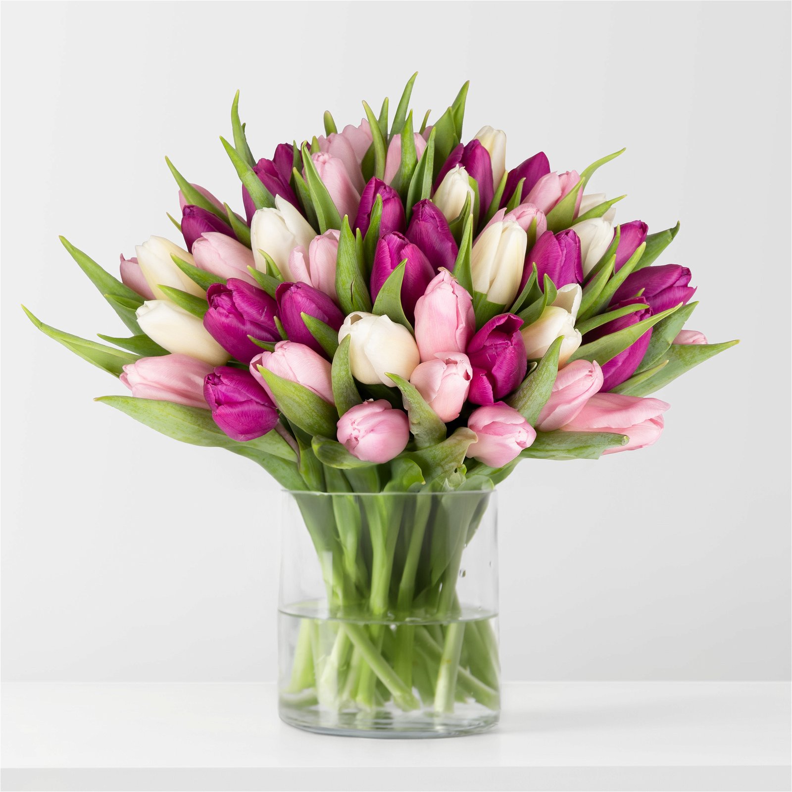 Blumenbund mit Tulpen, 50er-Bund, weiß - lila - hellrosa, inkl. gratis Grußkarte