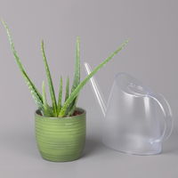 Aloe vera in Keramiktopf Bergamo grün, Topf-Ø 12 cm, Höhe ca. 35 cm