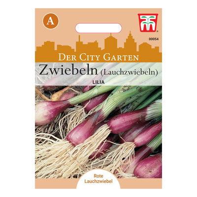 Zwiebeln (Lauchzwiebeln) Lilia, herzhaft und kräftig im Geschmack Zwiebeln (Lauchzwiebeln) Lilia, herzhaft und kräftig im Geschmack