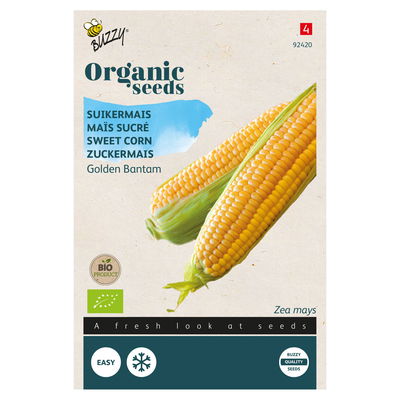 Bio-Saatgut, Zuckermais 'Golden Bantam', gelb Bio-Saatgut, Zuckermais 'Golden Bantam', gelb