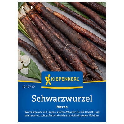 Gemüsesamen, Schwarzwurzel 'Meres'