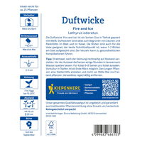 Blumensamen, Duftwicke 'Fire and Ice', weiß & rot
