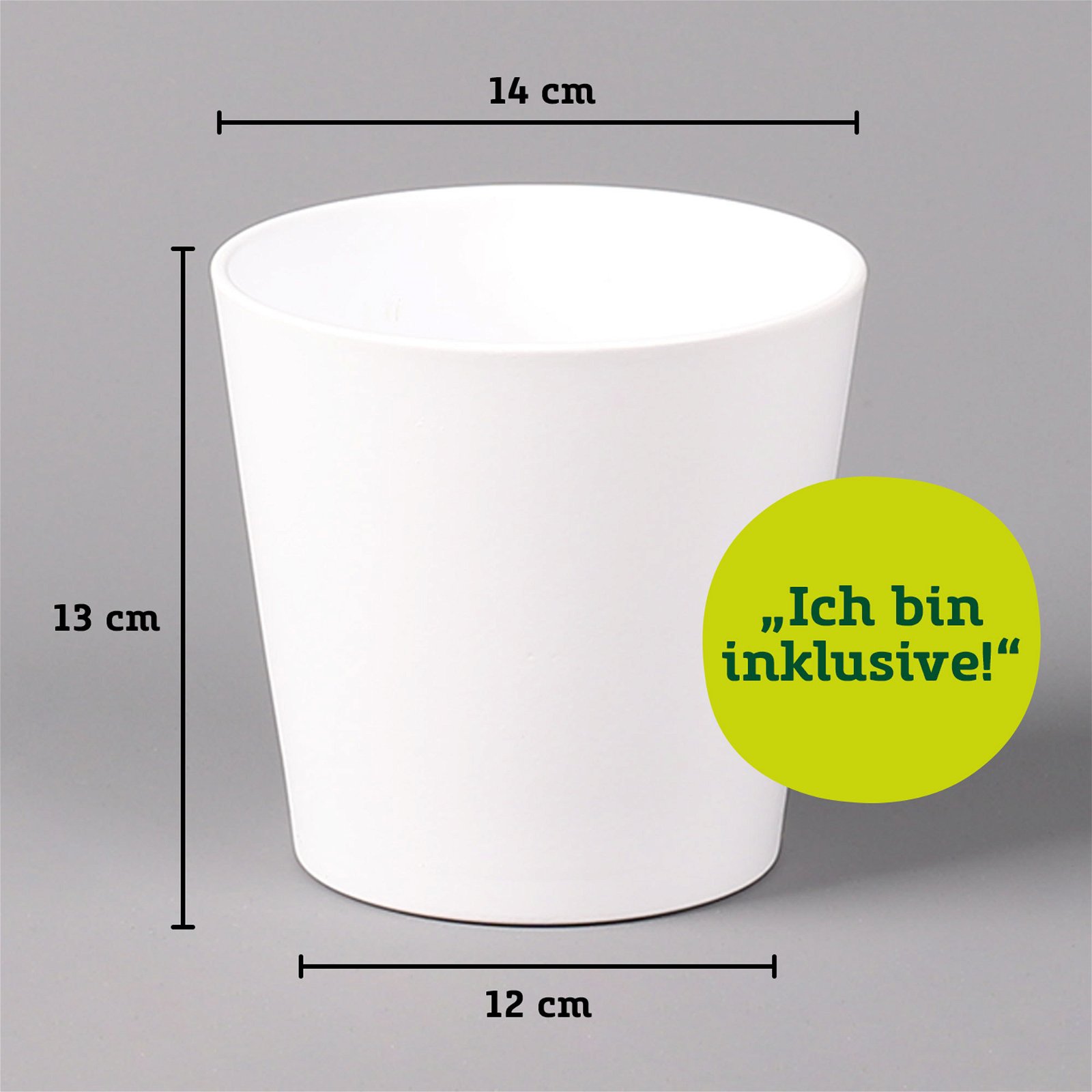 Kaffeestrauch mit Keramiktopf Dallas weiß, Topf-Ø 12cm, Höhe ca. 25 cm, 3er-Set