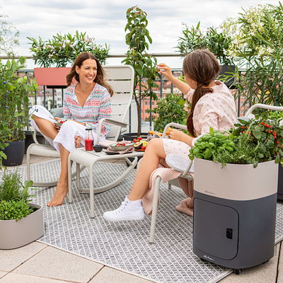 Lechuza 'Pila Color Storage', sandbraun, ca. 35 x 35 x H 32,5 cm Lechuza 'Pila Color Storage', sandbraun, ca. 35 x 35 x H 32,5 cm