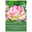 Gefüllte späte Tulpen 'Double Touch', rosa/weiß, 7 Blumenzwiebeln