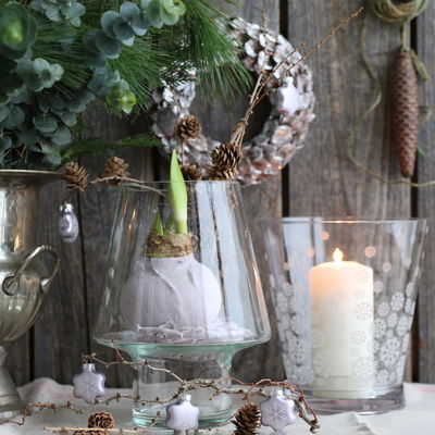 Amaryllis in Wachs XL, Dekor 'Basic Salbeigrün', Blüte weiß Amaryllis in Wachs XL, Dekor 'Basic Salbeigrün', Blüte weiß