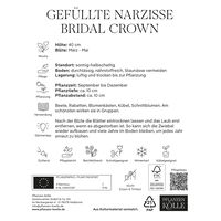 Gefüllte Narzisse 'Bridal Crown', gelb/weiß, 3 Blumenzwiebeln