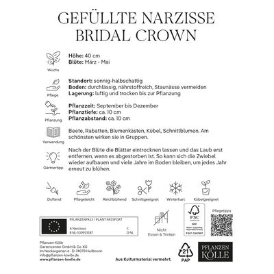 Gefüllte Narzisse 'Bridal Crown', gelb/weiß, 3 Blumenzwiebeln Gefüllte Narzisse 'Bridal Crown', gelb/weiß, 3 Blumenzwiebeln