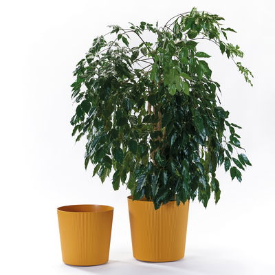 Euro 3 Plast Pflanzgefäß 'Fyre', mango, ca. Ø 40 x H 39 cm