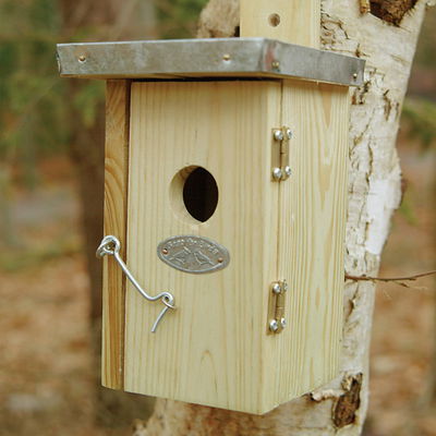 Nistkasten Zaunkönig Nistkasten Zaunkönig