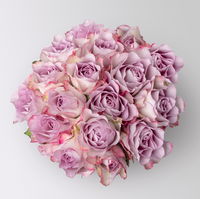 17 lila Rosen 'Memory Lane'