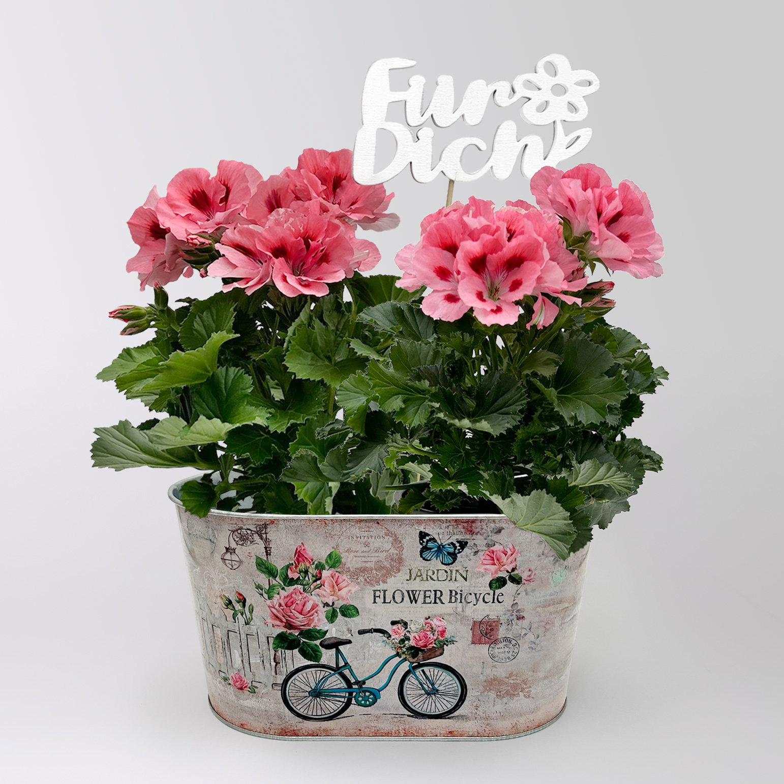 Muttertagsgeranien 'Don Flamingo®' in Zinkschale inkl. Stecker 'Für Dich'