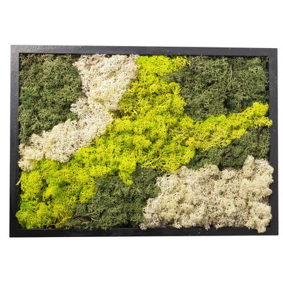 Moosbild eckig,  mit schwarzem Rahmen, klein, 24 x 17 cm