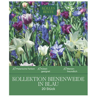 Blumenmischung 'Bienenweide Mischung', blau, 20 Zwiebeln