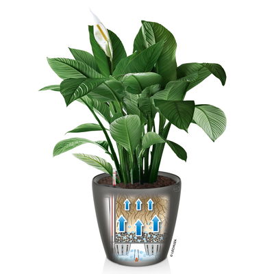 Lechuza 'Classico LS 50', taupe, ca. Ø 50 x H 47 cm