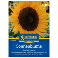 Blumensamen, Sonnenblume 'Sunrich Orange'