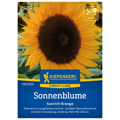 Blumensamen, Sonnenblume 'Sunrich Orange'