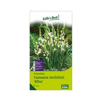 Camassia Leichtlinii Alba weiß, 3 Blumenzwiebeln