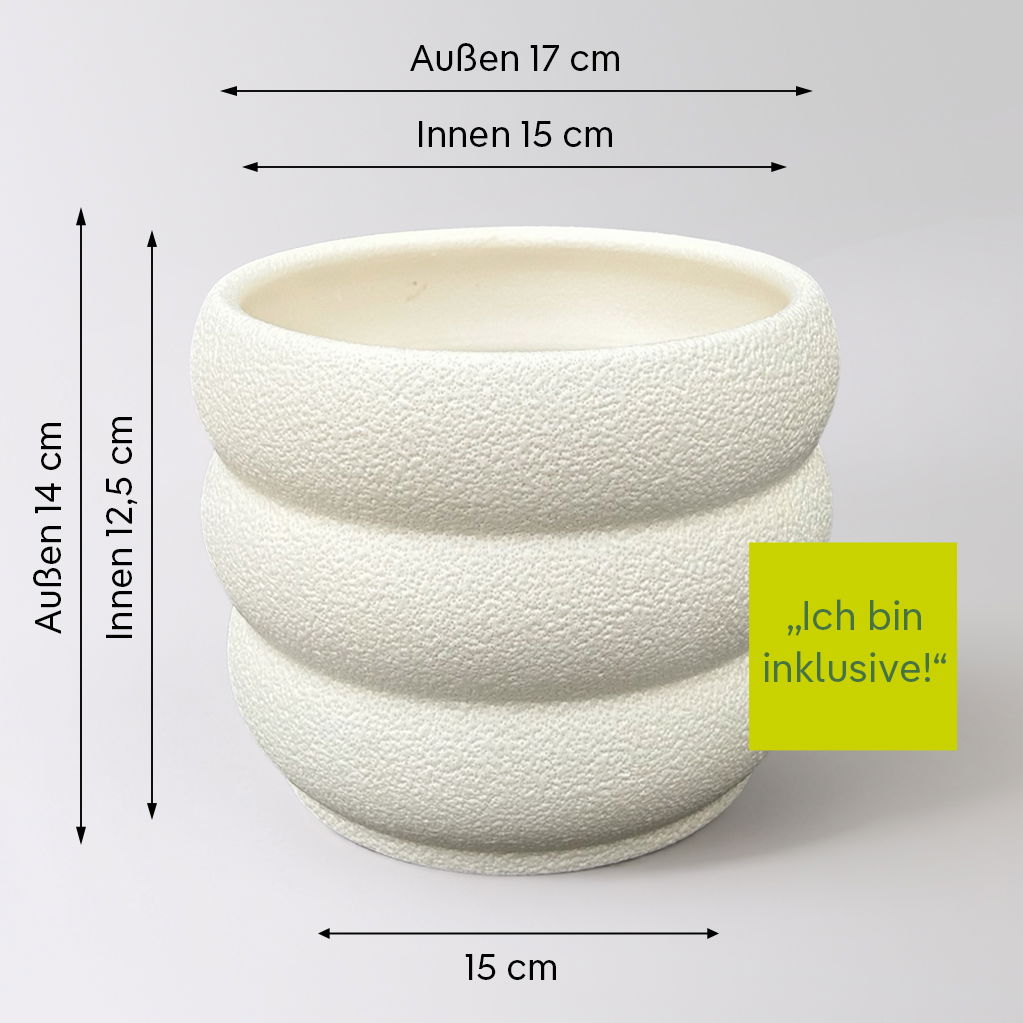 'Für Dich' - rote Rose im Übertopf inkl. Grußkarte 'Für Dich' - rote Rose im Übertopf inkl. Grußkarte