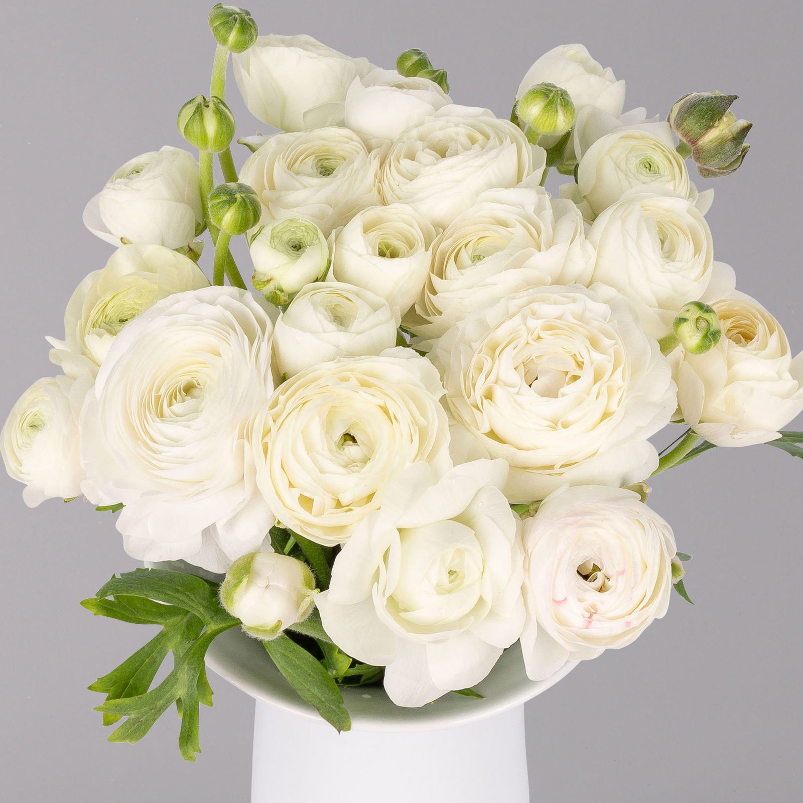 Blumenbund mit Ranunkeln, 15er-Bund, weiß, inkl. gratis Grußkarte