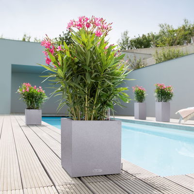 Lechuza 'Canto Stone 30 low', steingrau, ca. 30 x 30 x H 30 cm