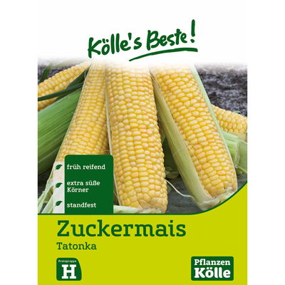 Kölles Beste Gemüsesamen Zuckermais 