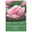 Gefüllte späte Tulpen 'Finola', rosafarben, 7 Blumenzwiebeln