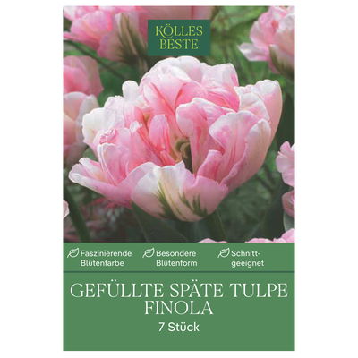 Gefüllte späte Tulpen 'Finola', rosafarben, 7 Blumenzwiebeln Gefüllte späte Tulpen 'Finola', rosafarben, 7 Blumenzwiebeln