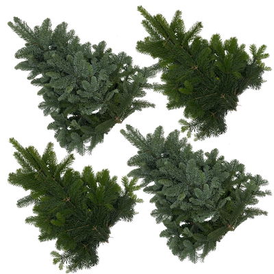 Nordmann- und Nobilis Tannenzweige im Handbund, ca. 1 kg, 4 Bund