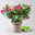 Dipladenie 'Qdeville®', rosa, buschartig, Topf-Ø 23 cm, Höhe ca. 50 cm Dipladenie 'Qdeville®', rosa, buschartig, Topf-Ø 23 cm, Höhe ca. 50 cm